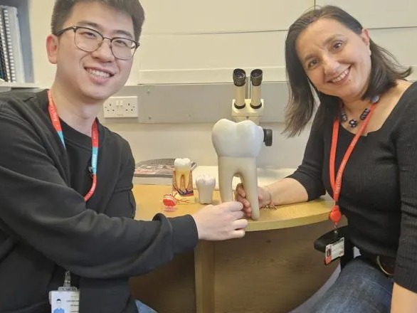 İngiltere'de bilim insanları laboratuvar ortamında insan dişi üretti