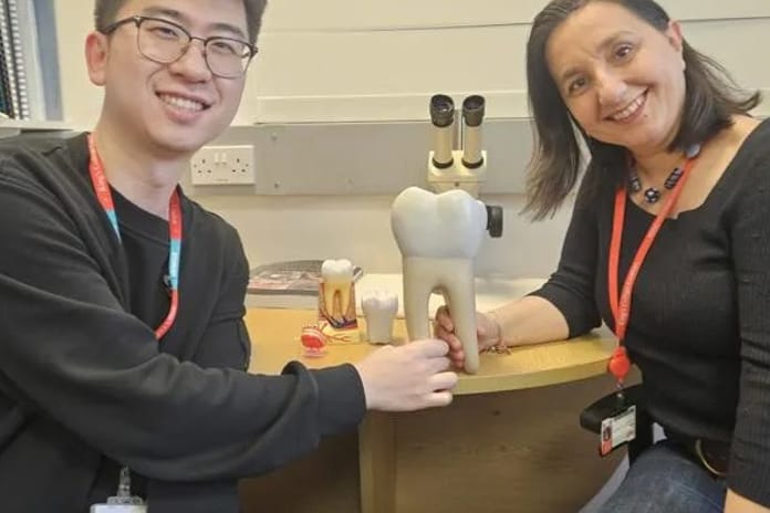 İngiltere'de bilim insanları laboratuvar ortamında insan dişi üretti