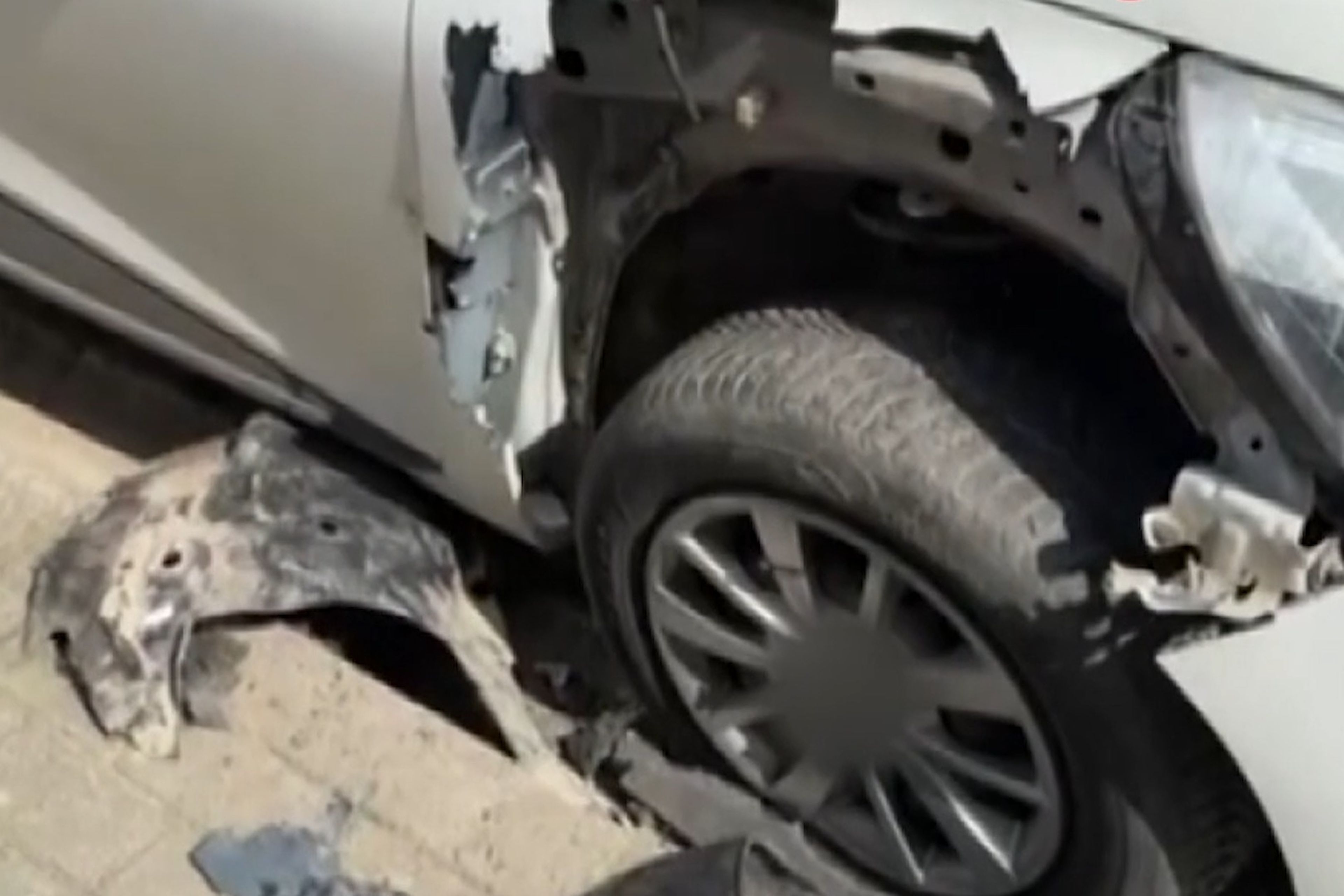 Başıboş köpekler park halindeki otomobilleri parçaladı