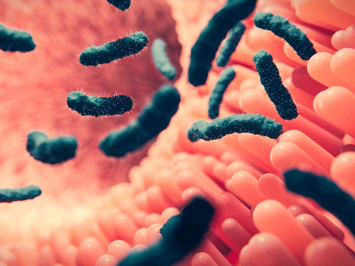 Antibiyotiklere dirençte tehlikeli eşiği aşan bir bakteri türü keşfedildi