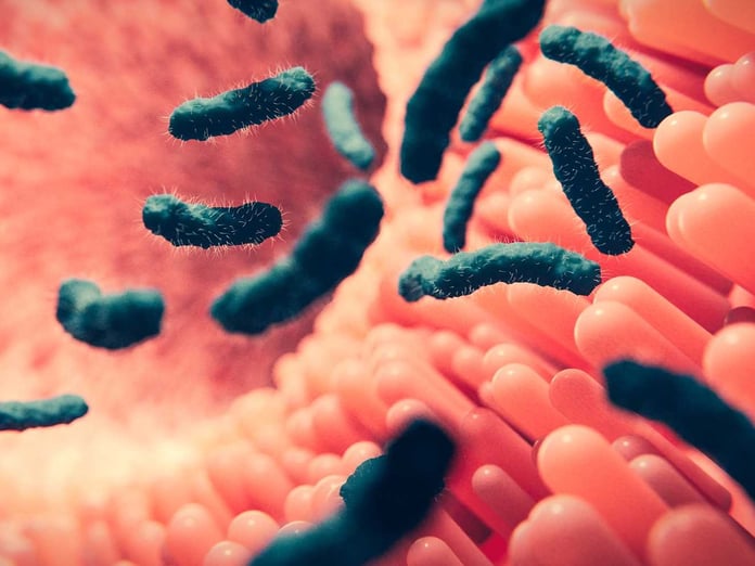 Antibiyotiklere dirençte tehlikeli eşiği aşan bir bakteri türü keşfedildi