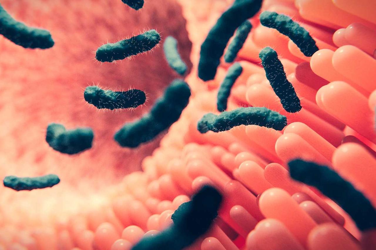 Antibiyotiklere dirençte tehlikeli eşiği aşan bir bakteri türü keşfedildi