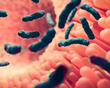 Antibiyotiklere dirençte tehlikeli eşiği aşan bir bakteri türü keşfedildi