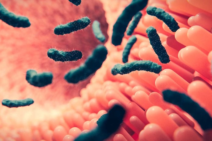 Antibiyotiklere dirençte tehlikeli eşiği aşan bir bakteri türü keşfedildi