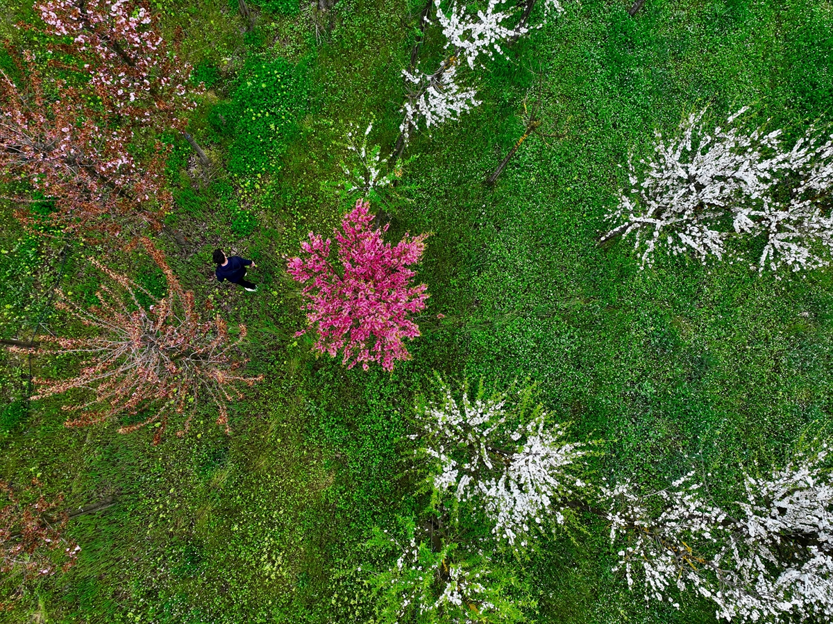 Galeri Fotoğrafı