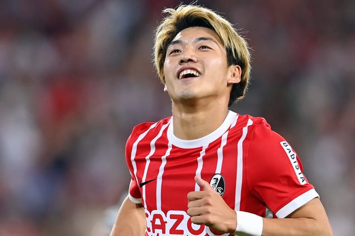 Alternatif seçenek Ritsu Doan