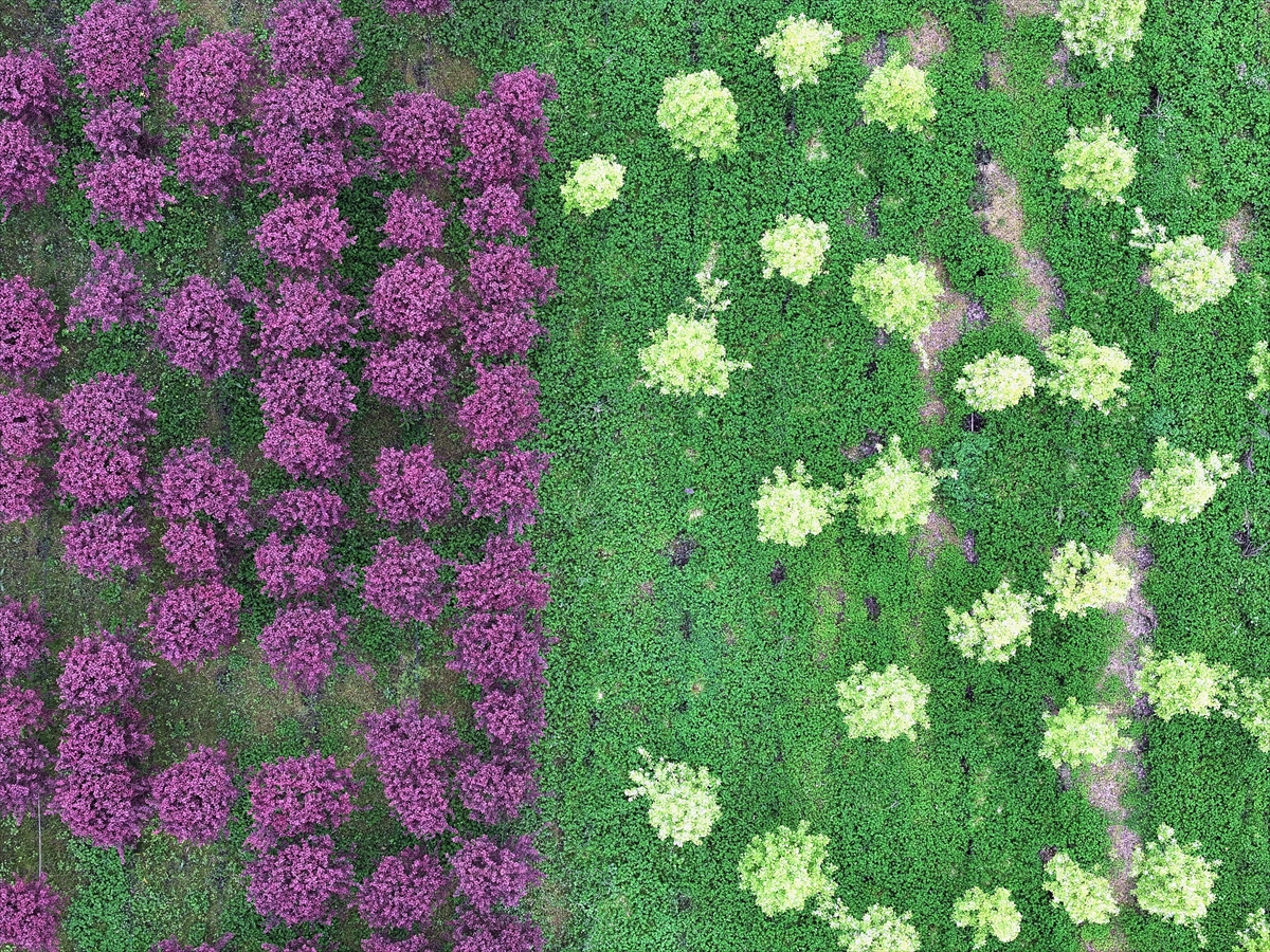Galeri Fotoğrafı