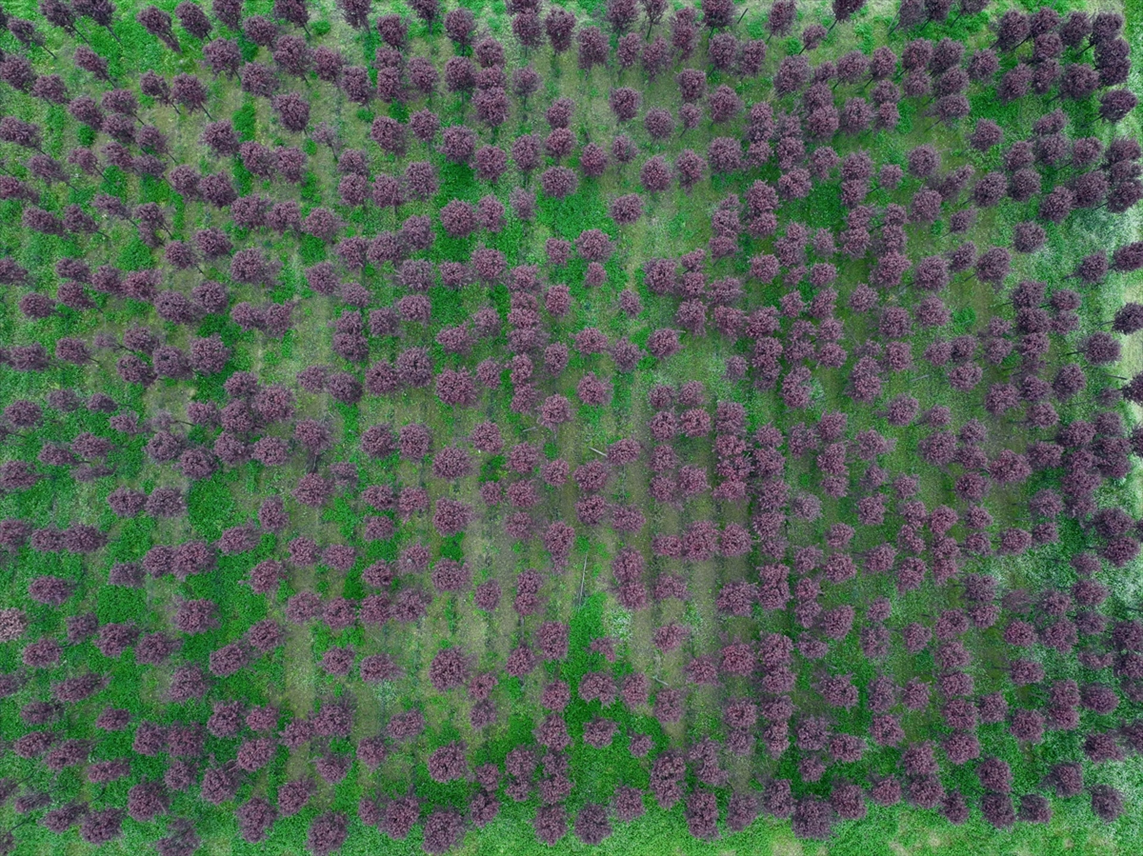 Galeri Fotoğrafı