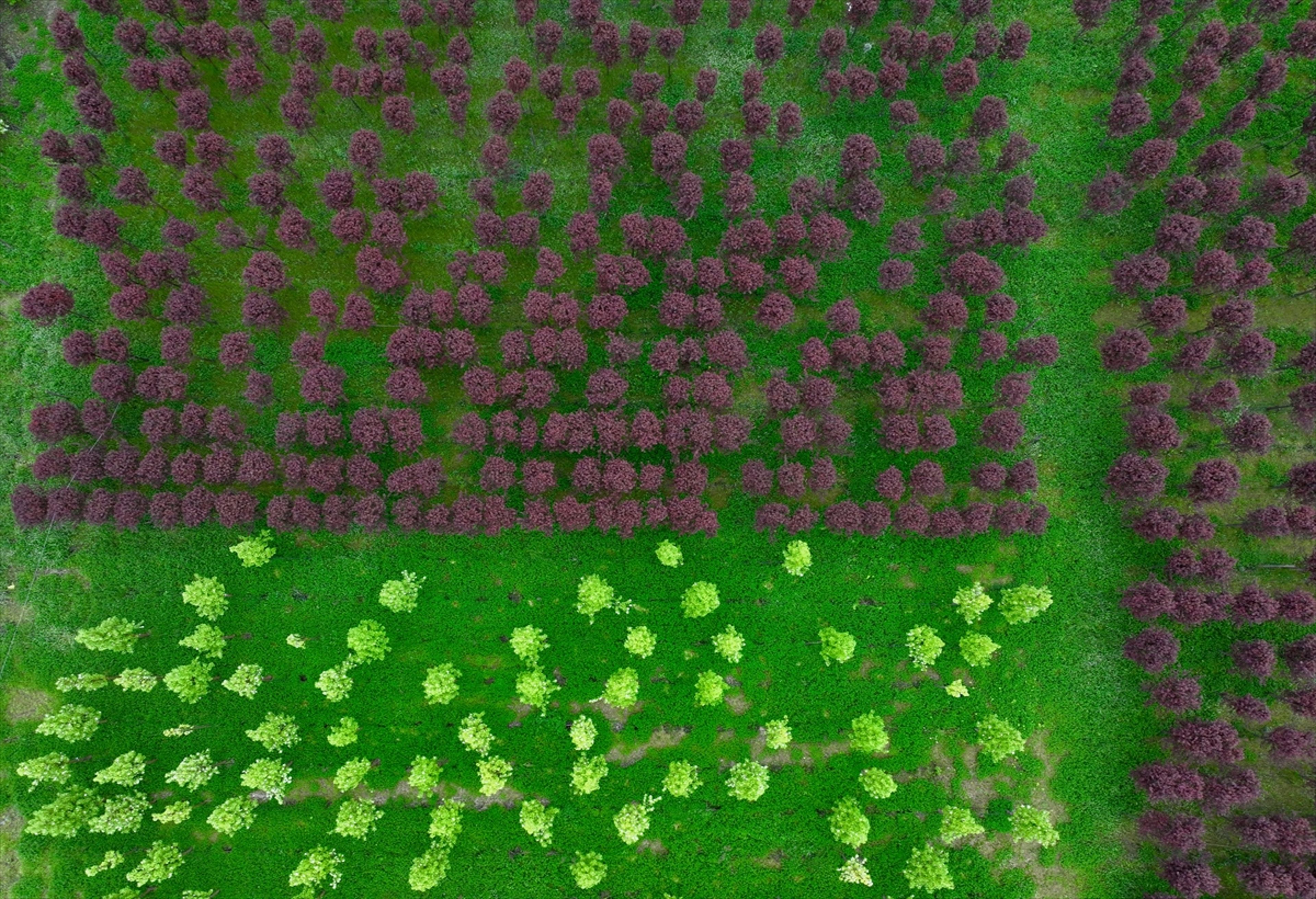 Galeri Fotoğrafı