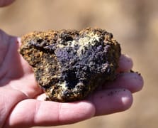 ABD, Türkiye'nin nadir toprak elementlerine yatırıma hazır