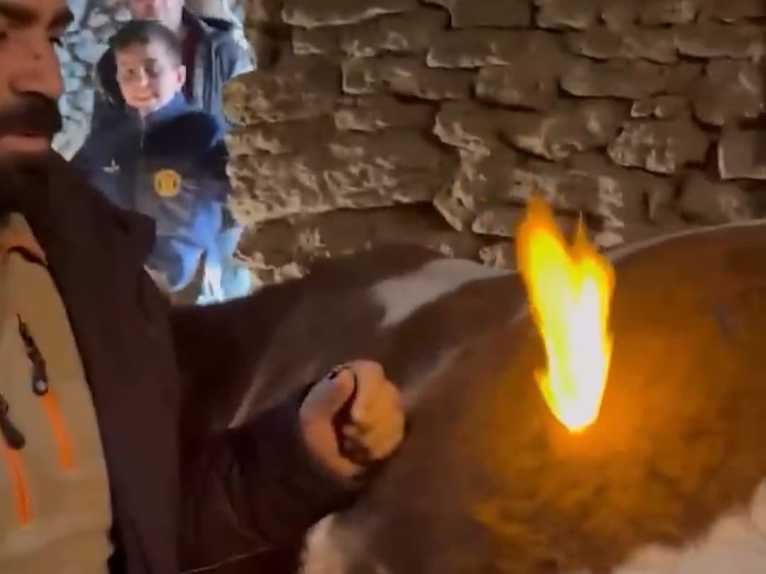 İnekten çıkan gazı çakmakla yaktı