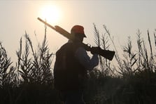 AB spor amaçlı üveyik avını serbest bıraktı