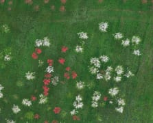 Düzce'de kartpostallık manzara