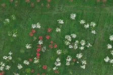 Düzce'de kartpostallık manzara