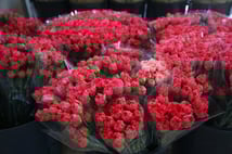 Dünya kadınlarına Türkiye'den 75 milyon dal çiçek