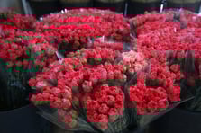 Dünya kadınlarına Türkiye'den 75 milyon dal çiçek