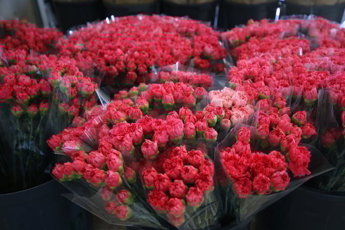 Dünya kadınlarına Türkiye'den 75 milyon dal çiçek