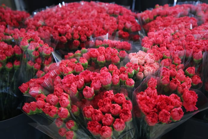 Dünya kadınlarına Türkiye'den 75 milyon dal çiçek