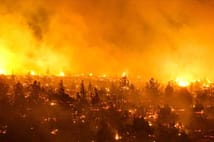 Şili'de orman yangınlarında 7 bin 800 hektar alan kül oldu