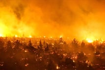 Şili'de orman yangınlarında 7 bin 800 hektar alan kül oldu