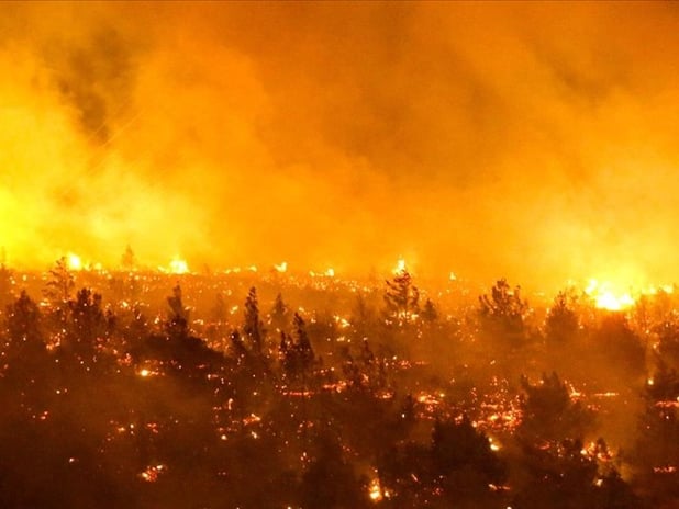 Şili'de orman yangınlarında 7 bin 800 hektar alan kül oldu