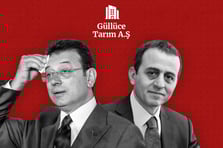 İmamoğlu'na 50 milyon dolarlık villaları 15 Milyon TL'ye veren Nuhoğlu kaçmaya çalıştı