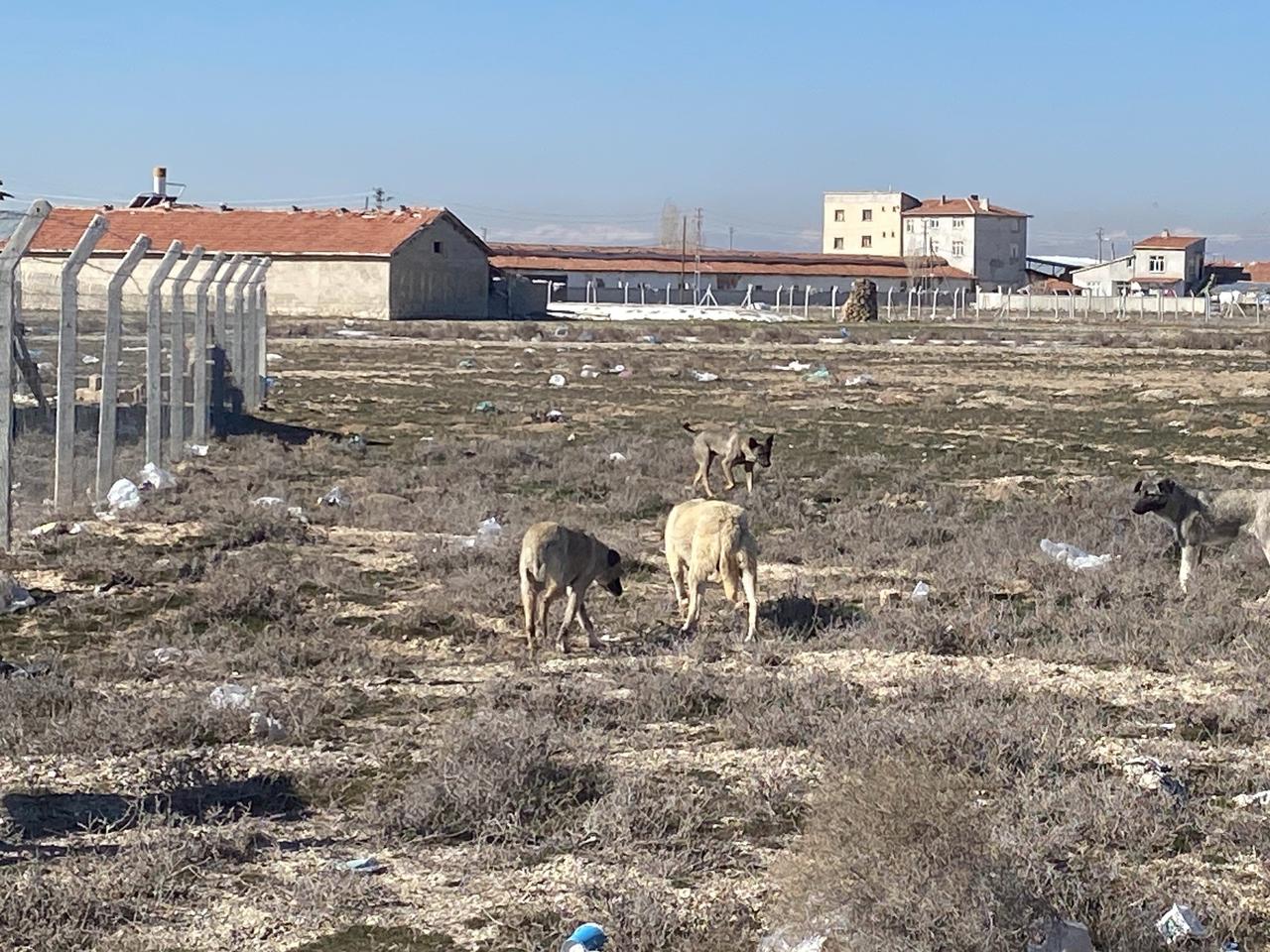 Rana’nın ardından hâlâ önlem alınmadı!