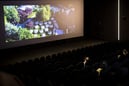 Bu hafta vizyona hangi filmler girecek?
