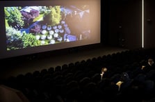 Bu hafta vizyona hangi filmler girecek?