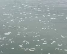 Denizi kirleten firmaya 8,3 milyon TL ceza kesildi