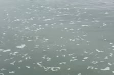 Denizi kirleten firmaya 8,3 milyon TL ceza kesildi