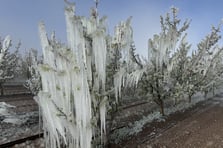 Zirai don için meclis araştırma komisyonu kuruldu