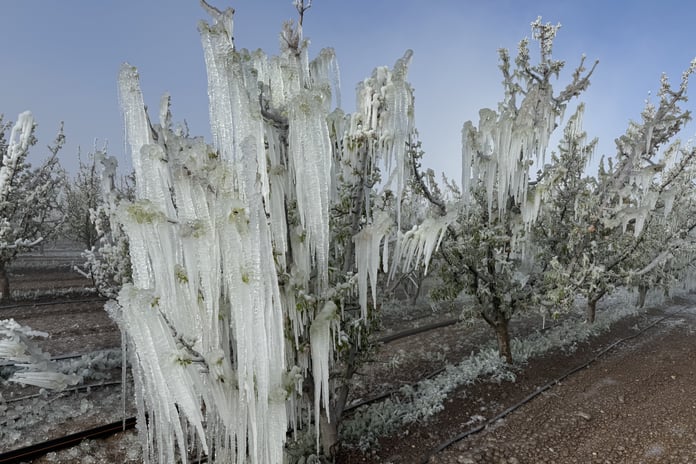 Zirai don için meclis araştırma komisyonu kuruldu
