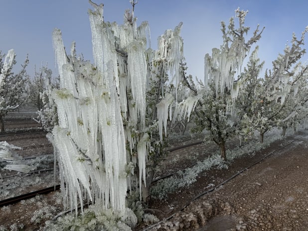 Zirai don için meclis araştırma komisyonu kuruldu