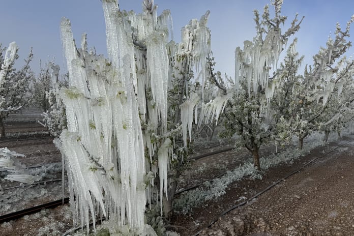 Zirai don için meclis araştırma komisyonu kuruldu