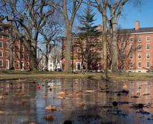 Harvard Üniversitesi'ne vergi muafiyetini sonlandırma tehdidi