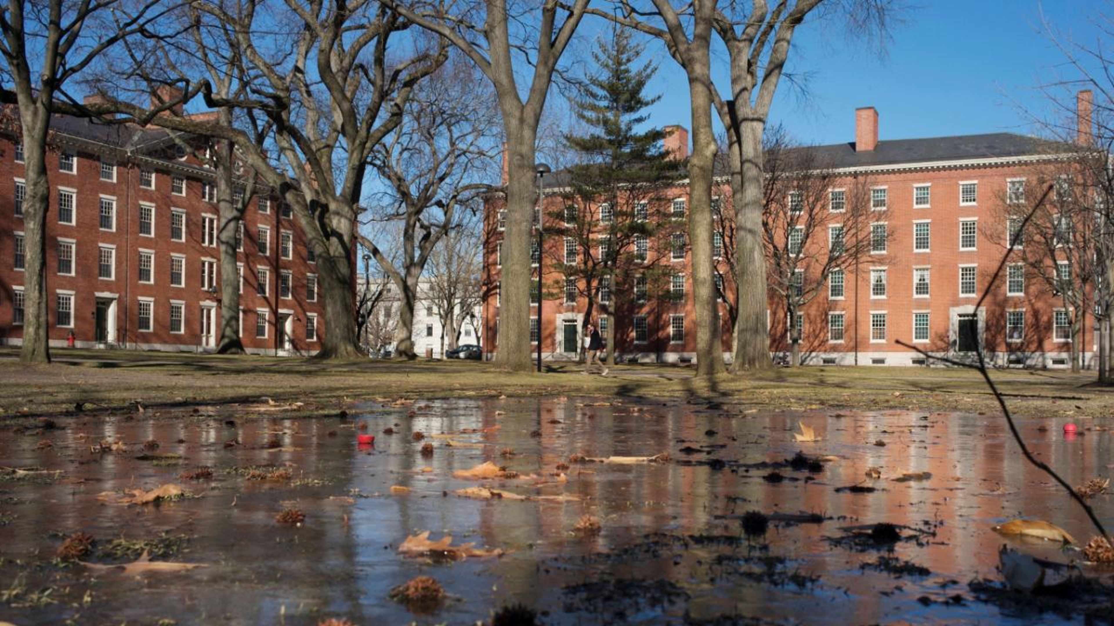 Harvard Üniversitesi'ne vergi muafiyetini sonlandırma tehdidi