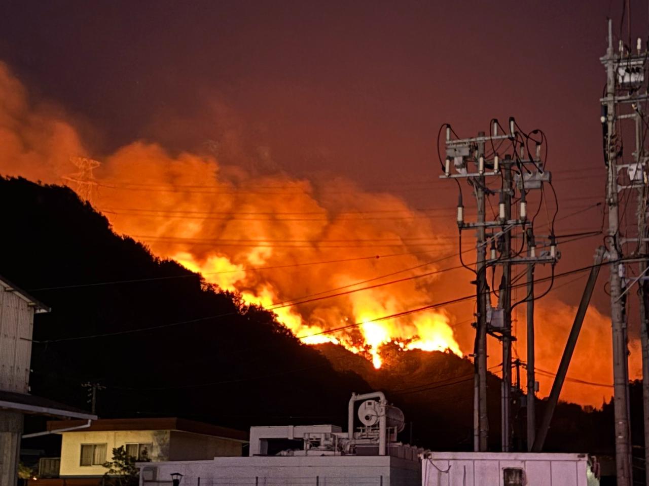 Japonya'da 355 hektarlık orman kül oldu