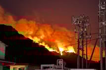 Japonya orman yangınlarıyla mücadele ediyor