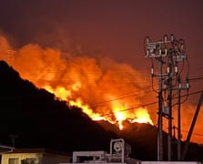 Japonya orman yangınlarıyla mücadele ediyor