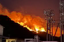 Japonya orman yangınlarıyla mücadele ediyor