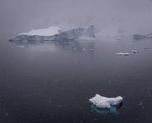 Buzullar yok oluyor!