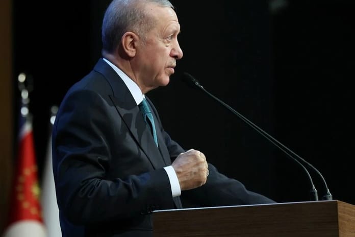 The Conversation: Türkiye küresel krizleri nasıl kendi lehine çeviriyor?