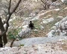 PKK/YPG'li 5 terörist TSK'ya teslim oldu