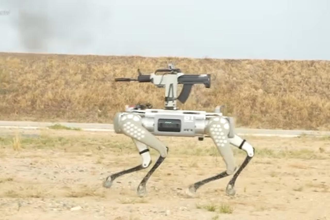 Çin robotunda arka kapı bulundu