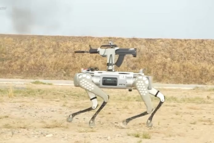 Çin'in robotlarında arka kapı bulundu