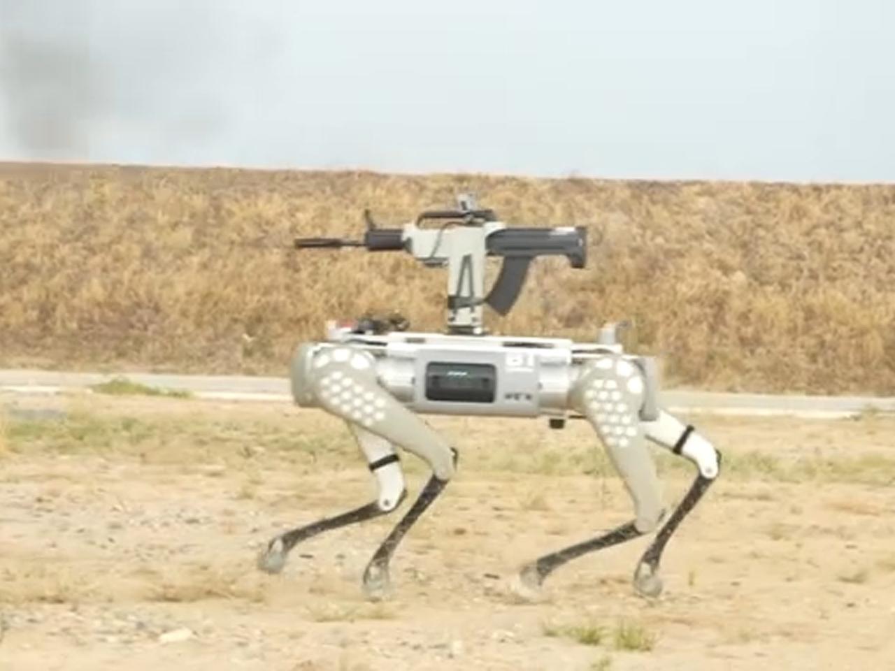 Çin robotunda arka kapı bulundu