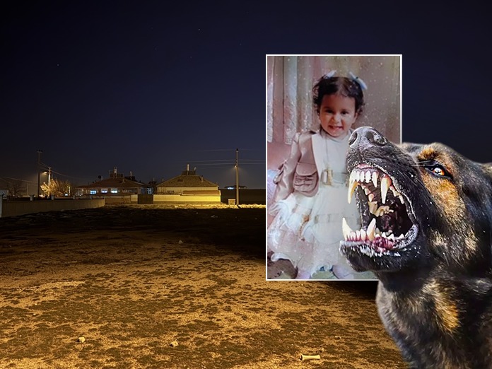 2 yaşındaki çocuk başıboş köpeklerin saldırısında öldü
