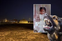 2 yaşındaki çocuk başıboş köpeklerin saldırısında öldü