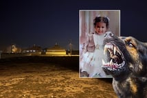 2 yaşındaki çocuk başıboş köpeklerin saldırısında öldü